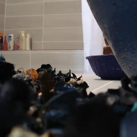 Old Town Traditional كافالا