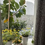 Old Town Traditional 3*